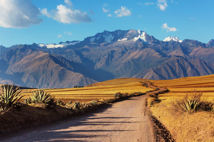 Camino de tierra entre montañas andinas